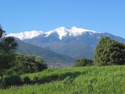 Appartement Centre Ville Du Boulou Pour 2 Adultes-2 Enfants- Check In 17H-21H--Juillet-Aout Reservation De 7 Jours Mini 勒宝洛 外观 照片
